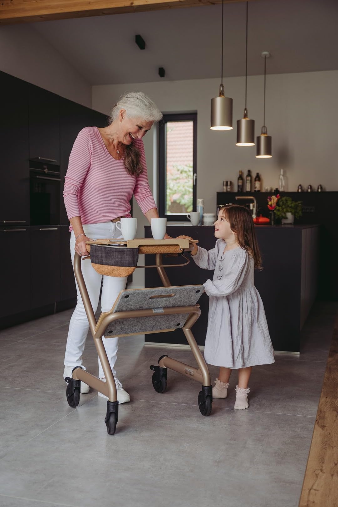 saljol-wohnraumrollator-vollausstattung-sitzh-he-50-cm-velvet-grey image 5