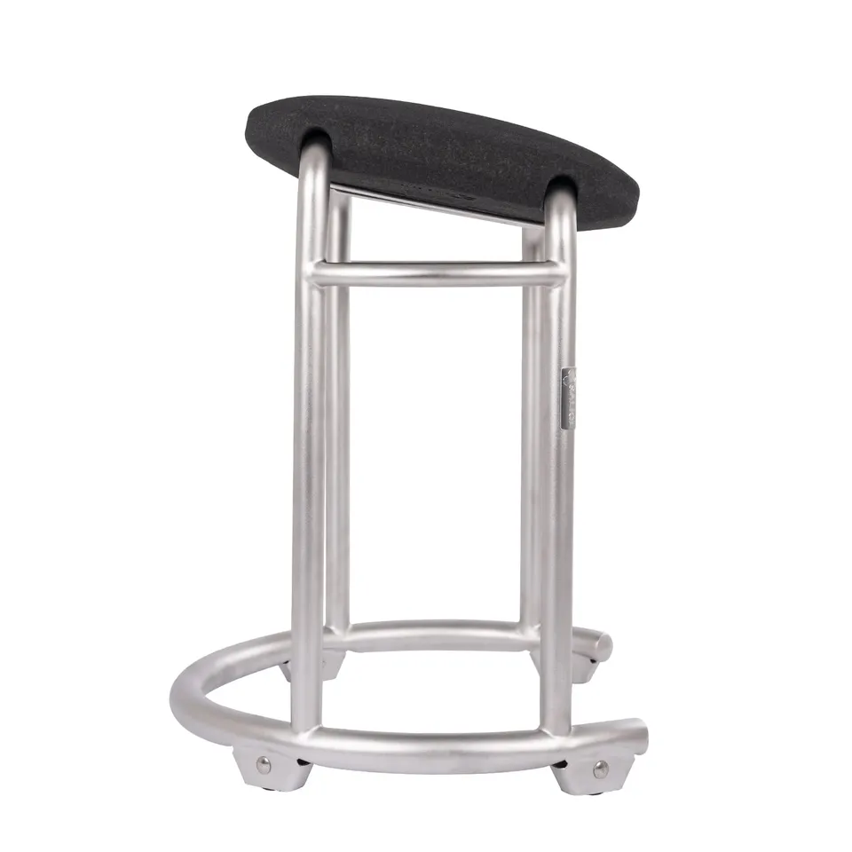 saljol-duschhocker-mit-geneigtem-keilsitz-drehbar-silber-bis-150-kg image 1